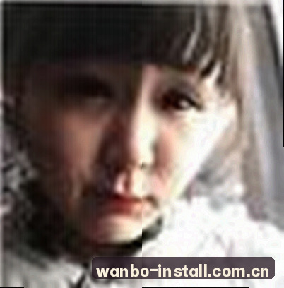 吴迪